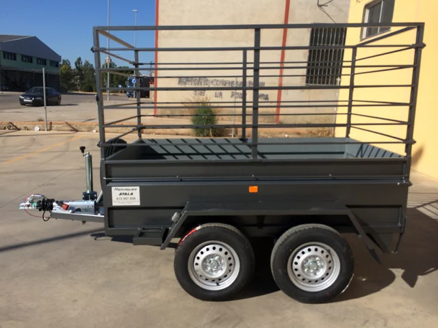 Remolque 2 ejes 2.500 x 1.500 x 500 – Reforzado – Mma 750 kg